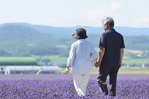 遺産相続